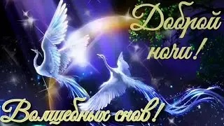 Видео открытка Доброй ночи