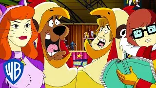 Scooby-Doo! en Español | ¡Scooby Dooby a la moda! | WB Kids