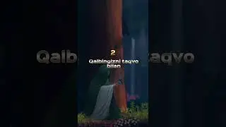 Toʻrt 4 narsani Toʻrt 4 narsa bilan yuvib turing