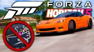 Forza Horizon 5: NO HUD INFECTION & KING