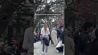 мяу # 