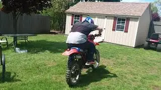 ITS ALIVE!!!