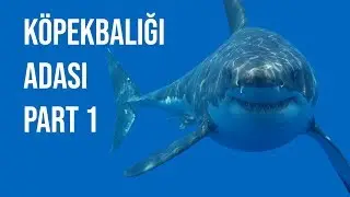 Dev Köpekbalıkları Adası Belgeseli Part 1
