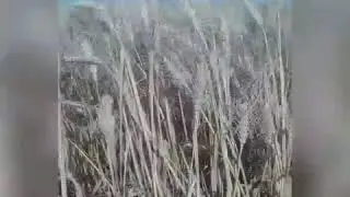 Чувак,потерялся во времени и пространстве!"юмор"