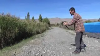 Aras Kuş Araştırma ve Eğitim Merkezi (Aras Bird Research and Education Center)