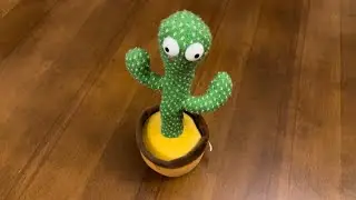 Talking CACTUS be like: