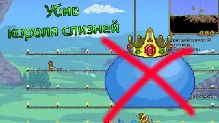 убив короля слизней в terraria #6