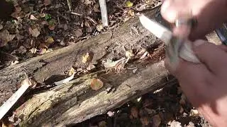 Яблочный взвар и просто нож
