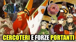 COSA SAPERE SU CERCOTERI E FORZE PORTANTI