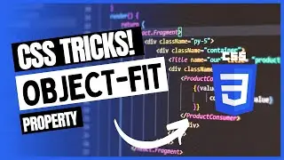 CSS Object Fit Property #shorts
