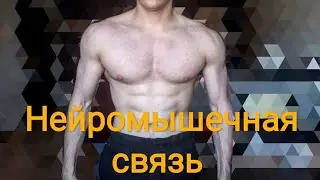 Серия 56. Нейромышечная связь