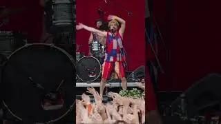 Duckshell - Goool 