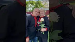 Романович романтик