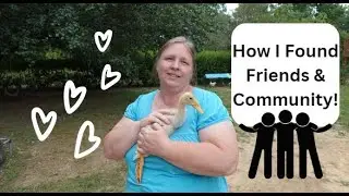 Are You Lonely?