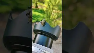 Вайб летних фотосессий в Тарусе 🌿. 