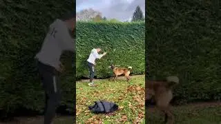 J’ai bloqué le Frisbee 😱