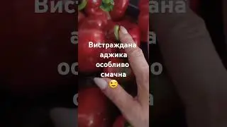 28 серпня 2024 р.