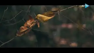 “Qızıl payız” - TEZLİKLƏ AzTV-də!
