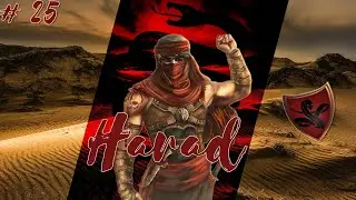 4K Third Age Total War: Divide&Conquer Harad Hadjárat #25