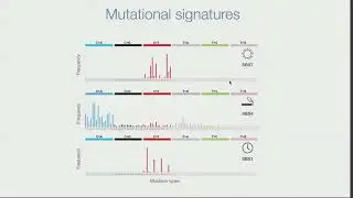 Cancer Evolution 24 | Keynote: Dr Núria López-Bigas, Institute for Research in Biomedicine Barcelona
