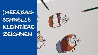 Ein paar schnelle Meerschweine