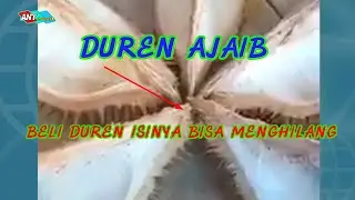 ibuk2 beli durian isinya bisa menghilang kosong viral di media