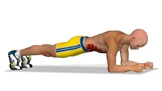 Strong abs exercises: Plank
