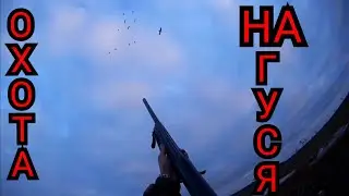 #ОХОТА НА ГУСЯ#ОТКРЫВАЕМ СЕЗОН#ОСЕНЬ 2022#