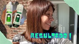 Parte 2 - RESULTADO DA PROGRESSIVA DA JAPINHA #progressivaemcasa