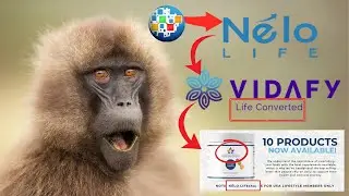 ONPASIVE, Nelo Life, Vidafy, and Their Deceptive Labyrinth