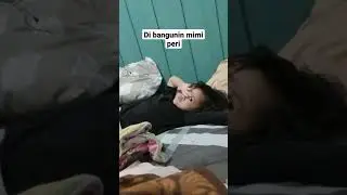 di bangunin Mimi peru