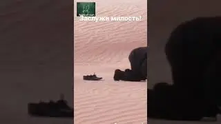 Заслужи милость Аллаха, и попади в Рай:Фирдавс/