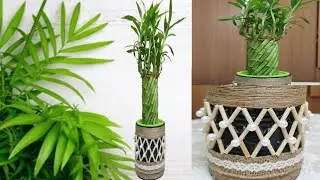 PLANTS POT/DIY PLANT POT/INDOOR PLANTS POT DECORATION/ POT DECORATION IDEAS/DIY SIMPLE AND EASY