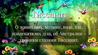 #169 О животных, музыке, воде, еде, об извлекателях душ и об Австралии - хроники глазами Тиссанат.