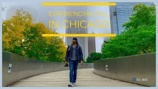 Experience Fall Foliage In Chicago | Fall Walk | Chicago 2018