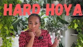 Ranking 10 of my most DIFFICULT Hoya & which ones I would NEVER🚫buy again|Not beginner friendly🙅🏽‍♀️
