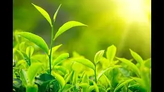 8.6.1. Living Matter. The Mystery of the Origin of Life