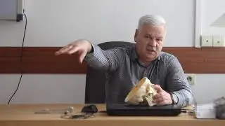 Сосудисто   корешковые конфликты