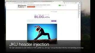 How to solve JWT PortSwigger labs using OWASP PTK