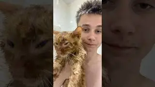 Рассказал как всё было и чем закончилось, в новом видео.