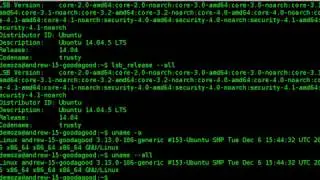 Linux Ubuntu - find out version number - distribution code name