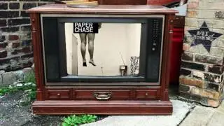 The Paper Chase - At The Other End Of The Leash (from Now You Are One Of Us)