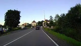 Hovado v Borovině