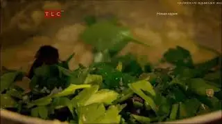 Кростини с белой фасолью, анчоусами и оливковым маслом