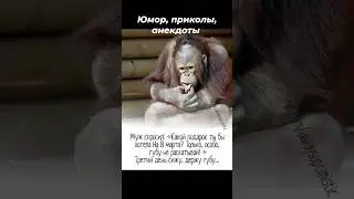 Смешное и не только