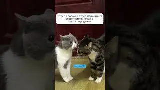Нажмите ссылку в профиле для получения видео как с 0 за 2 г без бюджетов получить 1 млн подписчиков