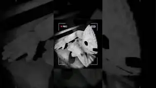 Fantasma #contentwarning