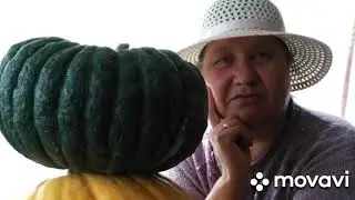 Мой любимый огород зимой и летом.