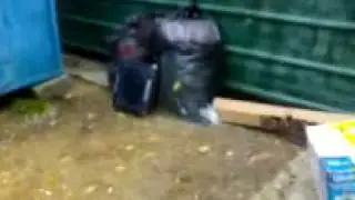 Пристрекка