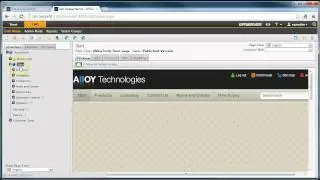 SEO Manager - Demo - Alternate language URL
